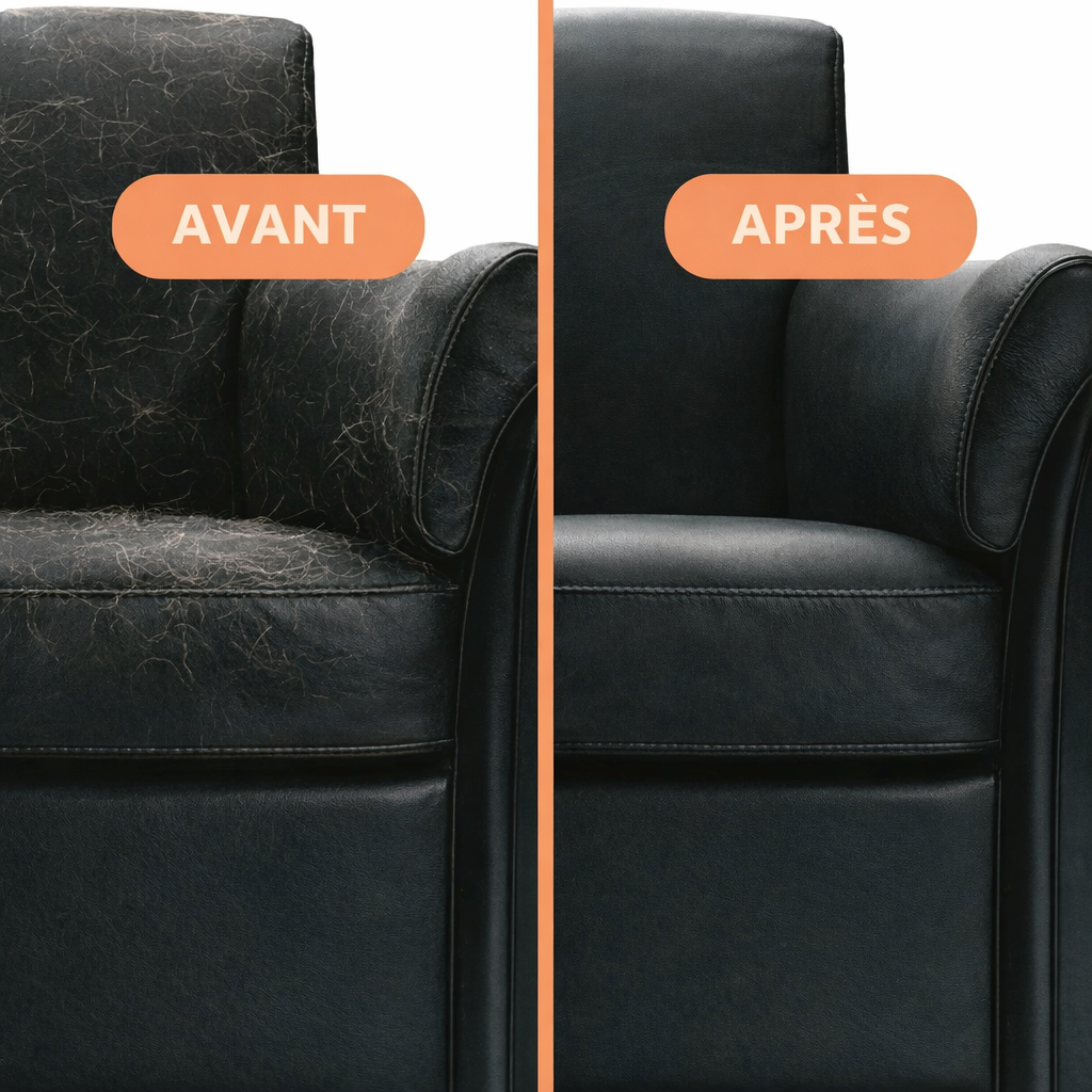 Rouleau Anti-Poils Réutilisable